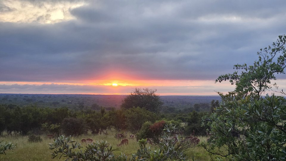 <h2>The Best of South Africa Escorted 2023</h2> 14 Nights | 6 Rounds | March 11 - 25